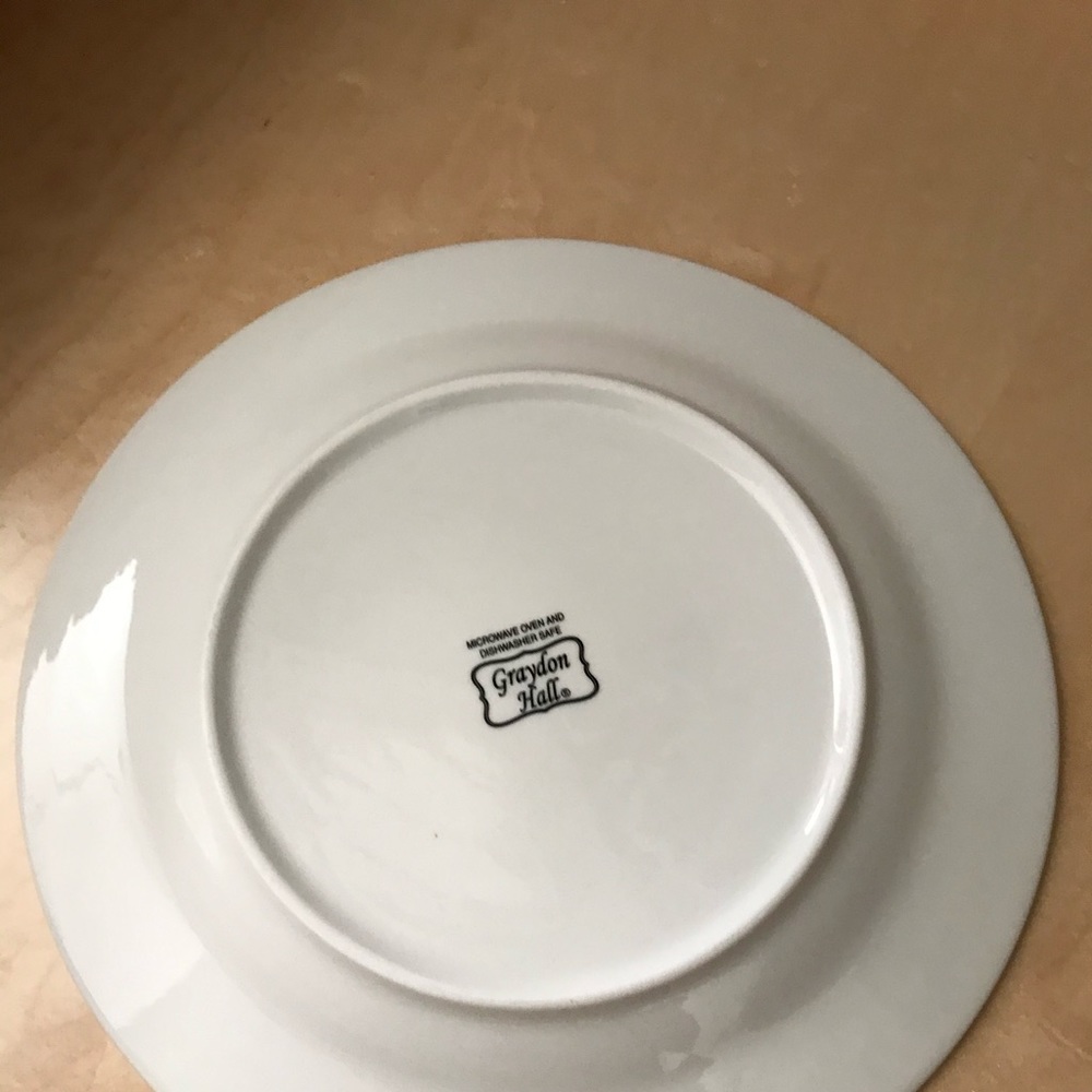 12 dinner plates white